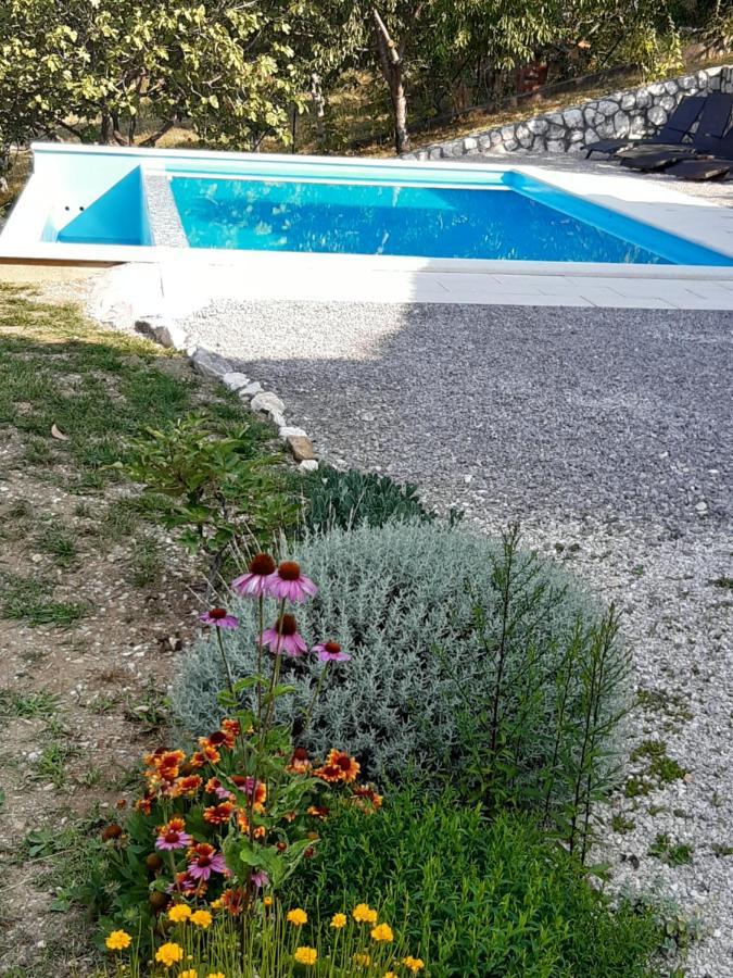 Apartment Finderli Buzet Buitenkant foto