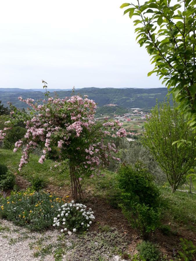 Apartment Finderli Buzet Buitenkant foto